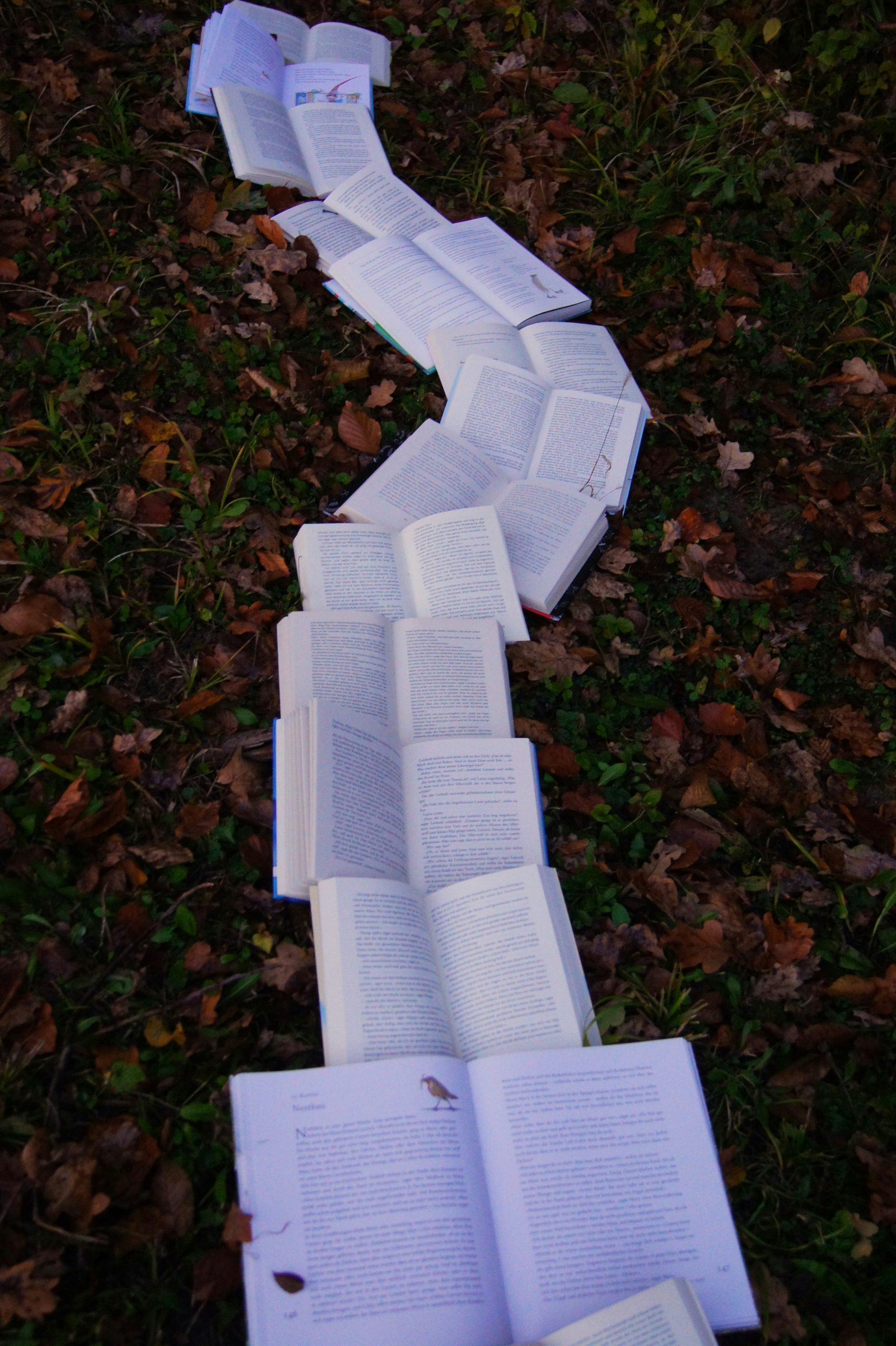 The Joys of Trilogies and Book Series